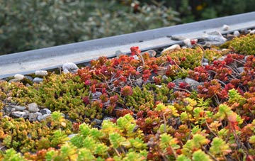 the cost of Soundwell green roof installation